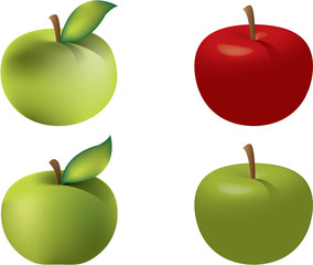 Vector apple illustration