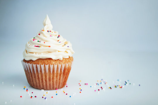 Cup Cake Cup Cake