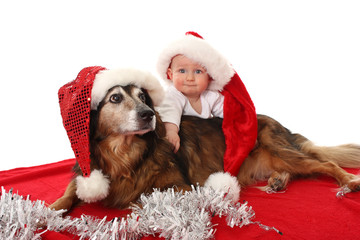 Weihnachtshund mit Baby