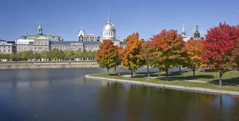 Rollo Old Montreal und Bonsecours Basin im Herbst © vlad_g