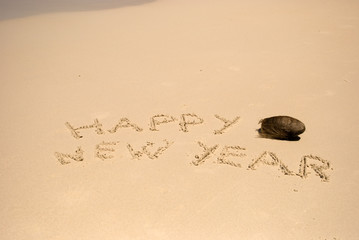 Happy New Year