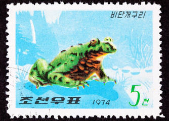 North Korean Postage Stamp Oriental Black Firebelly Toad
