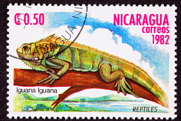 Canceled Nicaraguan Postage Stamp Green Iguana Lizard Branch