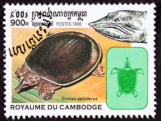 Naklejka premium Stamp Spiny Softshell Turtle Apalone Spinifera, Formerly Trionyx