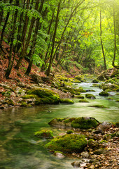 Fototapeta na wymiar River deep in mountain forest