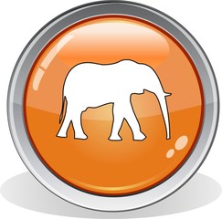 bouton éléphant