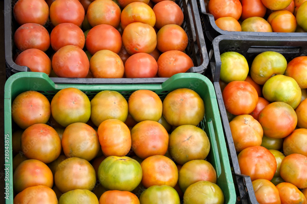 Wall mural tomatoes