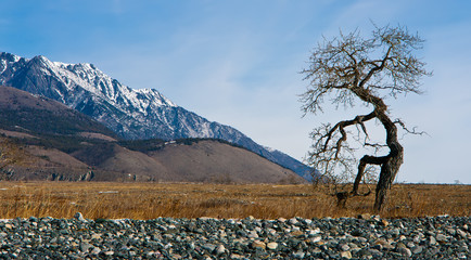 Baikal, cape Dug