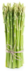 Sheaf of asparagus on a white background.