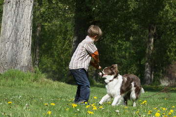 Naklejka na ściany i meble enfant jouant avec son chien - boy playing with her dog