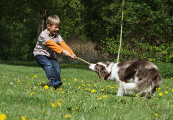 enfant et chien se disputant un bâton - boy and dog