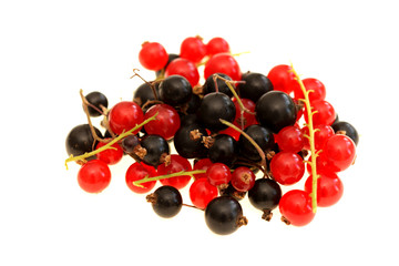 Blackcurrants and Redcurrants