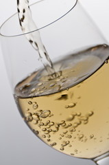 Vino Bianco 5