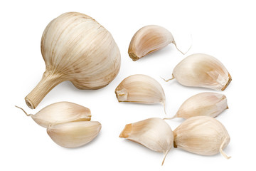 Garlic vegetable isolated on white background