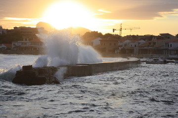 La  fuerza de la naturaleza