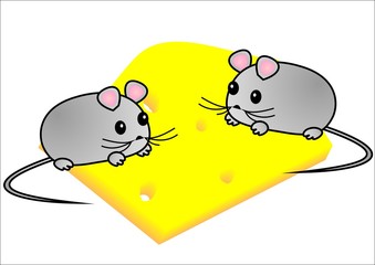 Two mouse