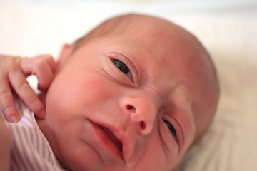 bimba cucciola neonata fasciatoio