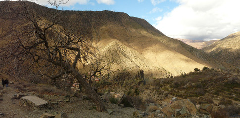 Panorama de l'Atlas marocain