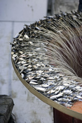 Fisher baiting hooks on the boat ready for fishing
