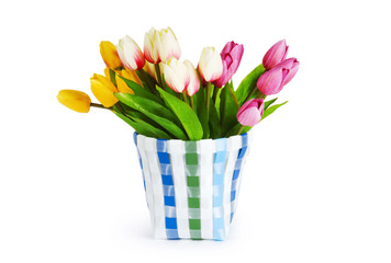 Pot of colorful tulips isolated on white