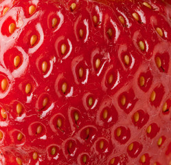 Fresh strawberry pattern