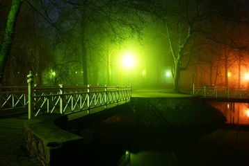 Park in the fog