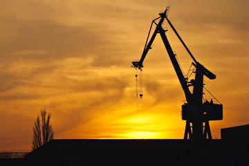 Hafenkran im Sonnenuntergang. © Rico Ködder