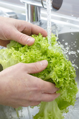Lettuce - being washed