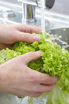 Close Up-  Washing Lettuce