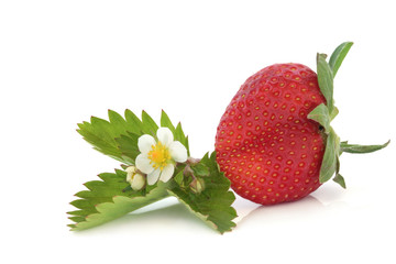 Strawberry with Flower Leaf Sprig
