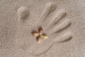 Child Hand Print on Sand with Flower Arranged Shells