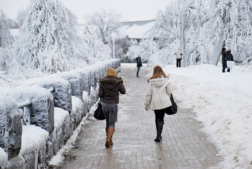 Winter Stroll