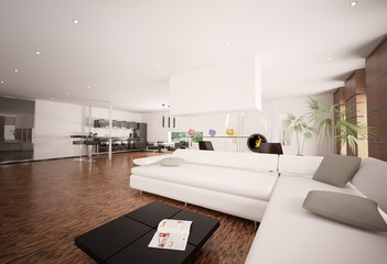 Modern Apartment Interior 3d render