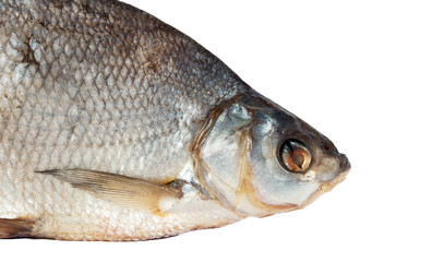 Dried fish isolated on white background