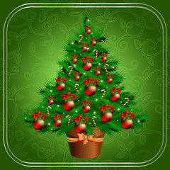 christmas fir