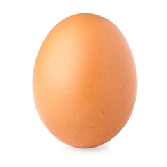 Brown egg on white background