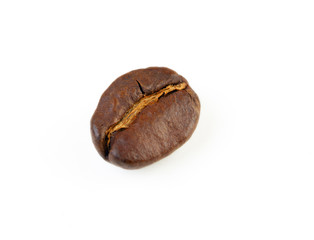 Single Coffee Bean
