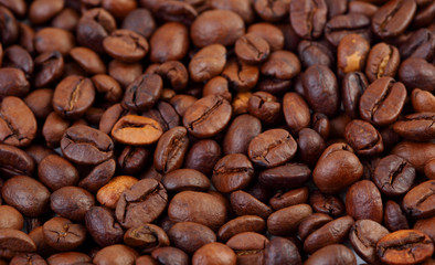 coffee beans