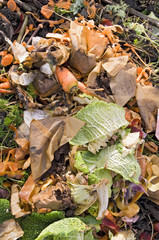Kitchen waste on a compost heap