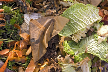 Kitchen waste on a compost heap