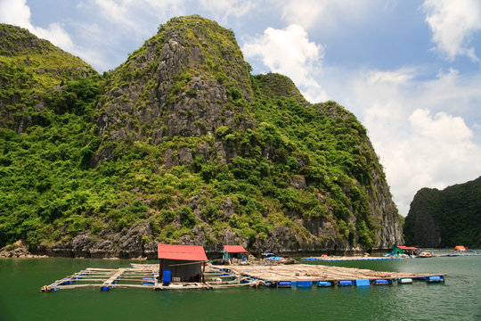 Vitnam Fishing Village