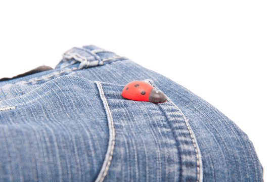 Red ladybug on jeans