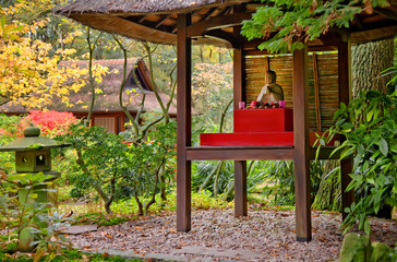 Budda tempel in park