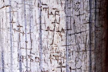 Crosses are Carved in a Marble Wall