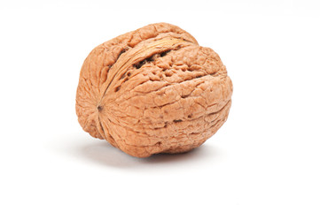 nut on white background