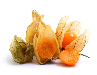 Physalis
