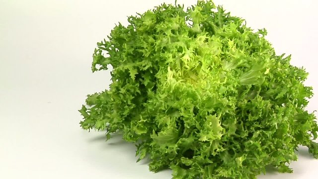 Indivia e foglie riccie