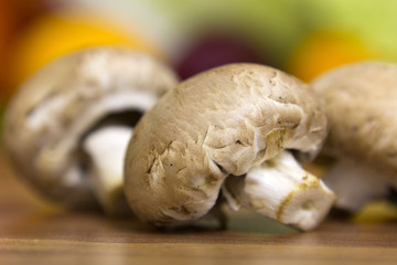 drei braune champignons