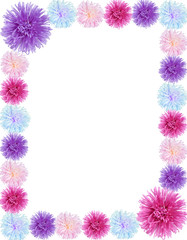 frame from aster flowers