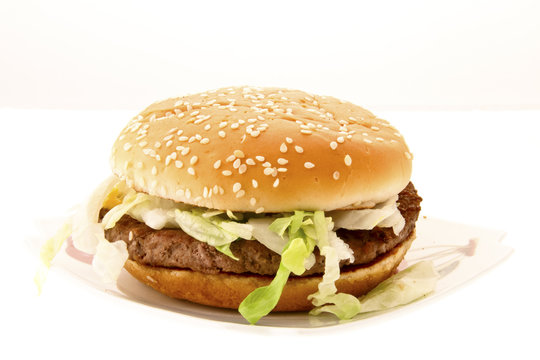 Panino